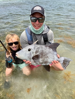 Grandslam On The Fly