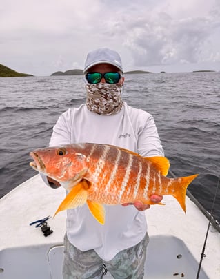 Grandslam On The Fly