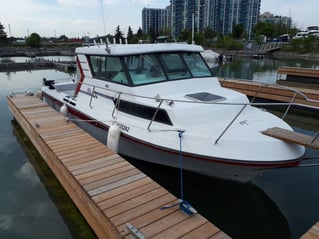 Lake Ontario Salmon Master