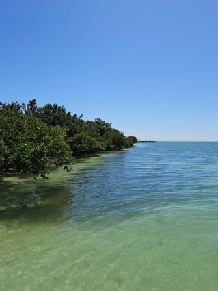 Florida Fishin' Frenzy