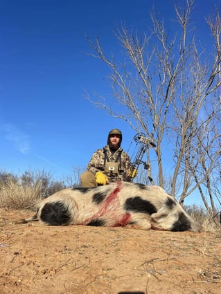 Hog Hunt