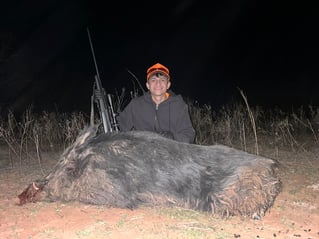 Hog Hunt