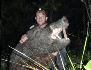 Night Vision Hog Hunts