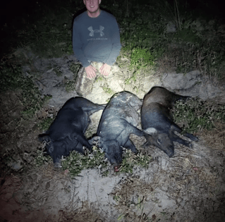 Night Vision Hog Hunts