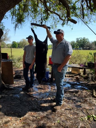 Wild Boar Hunting Adventure