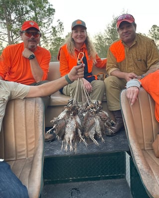 Bobwhite Quail Hunting Adventure