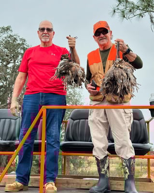 Bobwhite Quail Hunting Adventure