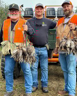 Bobwhite Quail Hunting Adventure