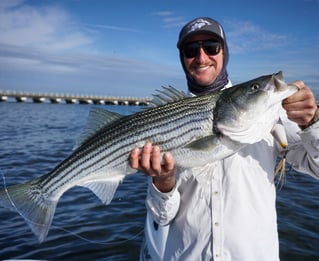 Full Day NYC Charter