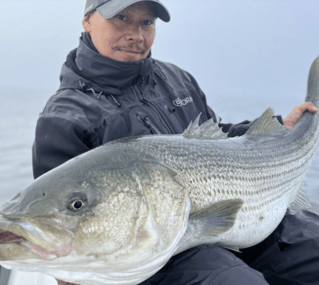 Full Day NYC Charter