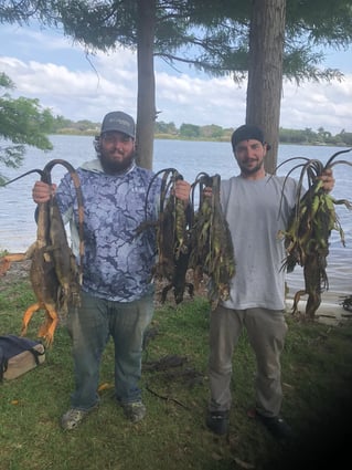 Iguana Hunts Delray Beach