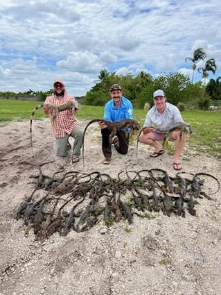 Iguana Hunts Delray Beach