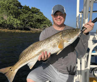 Grouper and Snapper trips