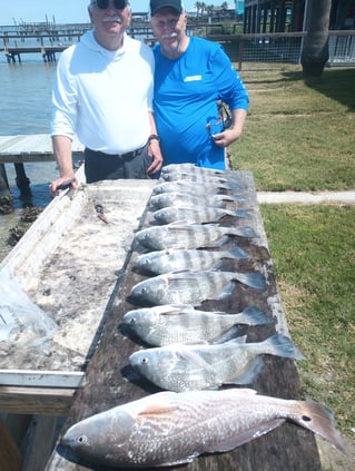 Rockport Redfishing