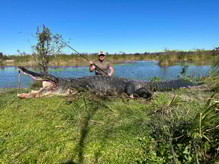 Trophy Gator Hunt