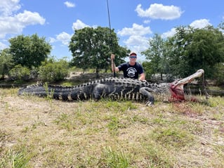 Trophy Gator Hunt