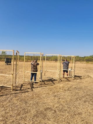 Texas Dove Hunt Fun!