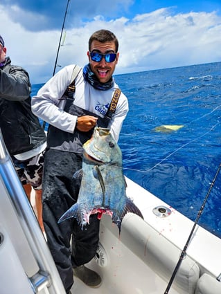 Deep Water Seamounts