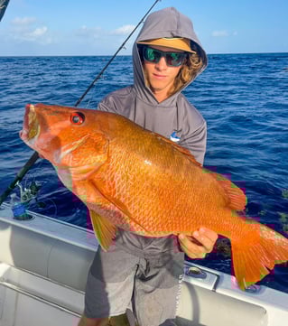 Deep Water Seamounts