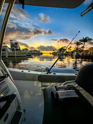 Deep Water Seamounts