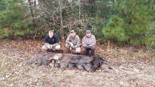 Texas Hog Shoot!