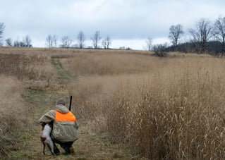Pen Raised Quail Hunts