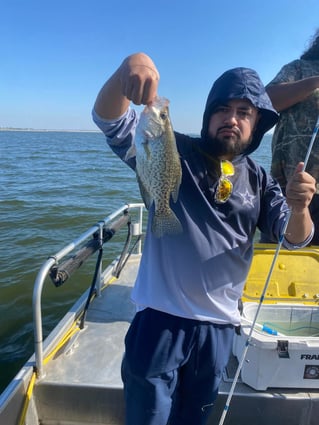 Lake Ray Hubbard White Bass+