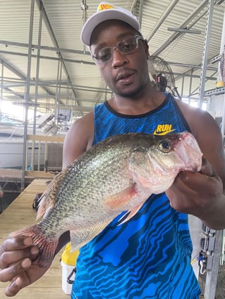 Lake Ray Hubbard White Bass+
