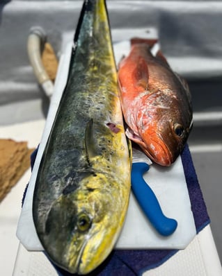 Inshore Fishing Nayarit