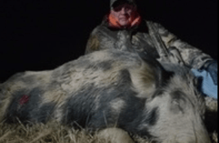 Thermal Hog Spot and Stalk