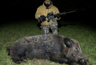 Thermal Hog Spot and Stalk