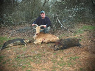 Hog Hunt Fun - w/ Lodging