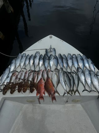 Sportfishing
