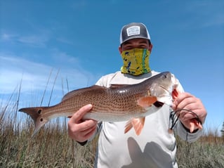 Inshore backwater trips