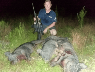 Thermal Hog Hunt Fun