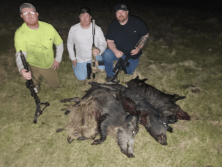 Thermal Hog Hunt Fun