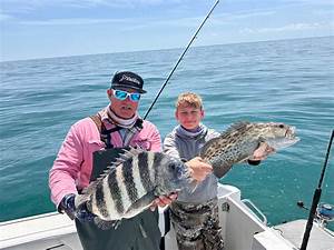 SheepsHead Trips