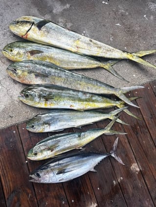 Closest Slip to Deep Water Trips!