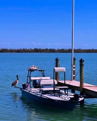 Reds & Snook - Fly or Light Tackle