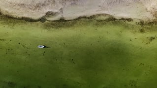 Reds & Snook - Fly or Light Tackle