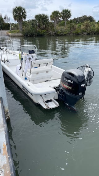 Inshore Saltwater Adventure