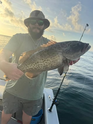 Destin Bottom Fishing and Trolling