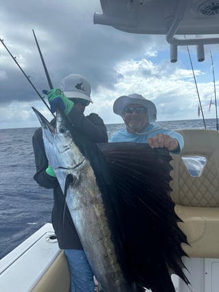 Jupiter ledge or Stuart push button