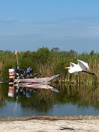 Airboat Eco Tours