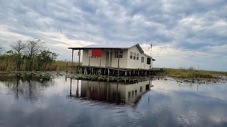 Airboat Eco Tours