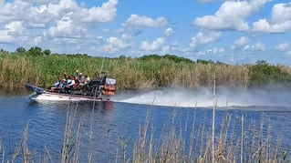 Airboat Eco Tours