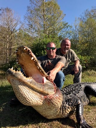 ALLIGATOR/HOG COMBO HUNT