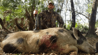 ALLIGATOR/HOG COMBO HUNT