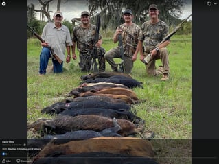 Half Day Wild Boar Hunt