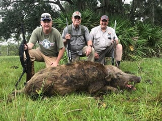 Half day wild boar hunt